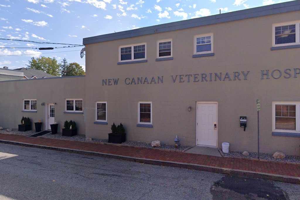 New Canaan Veterinary Hospital
