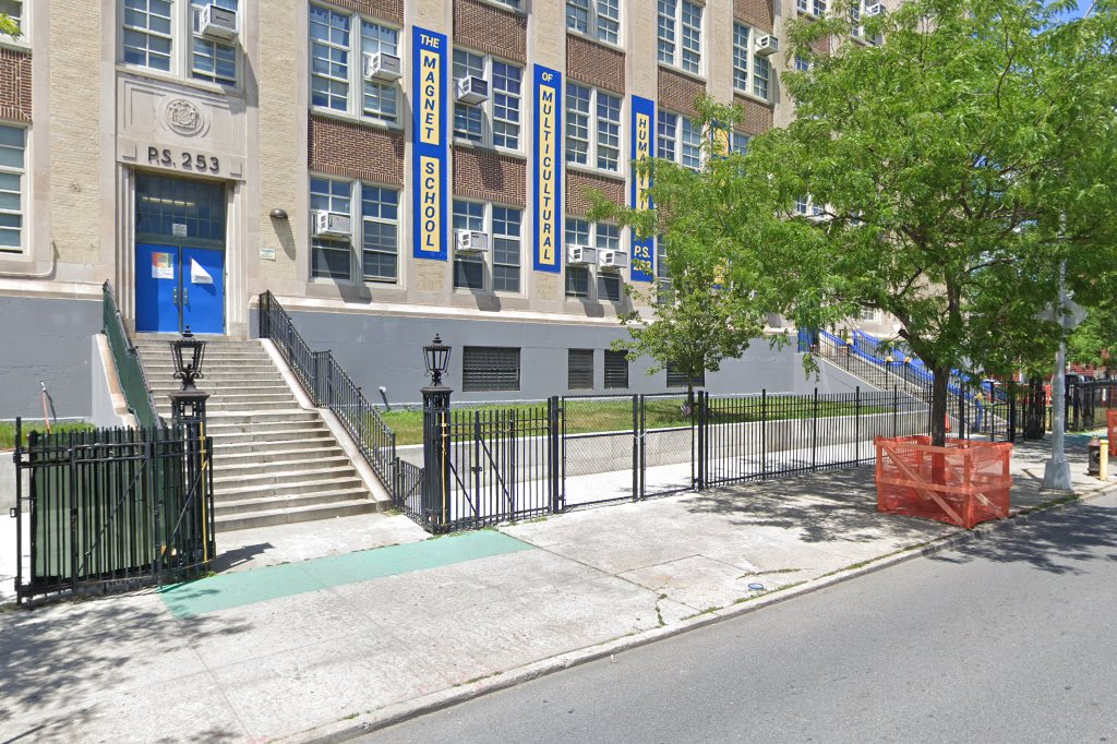 PS 253 School