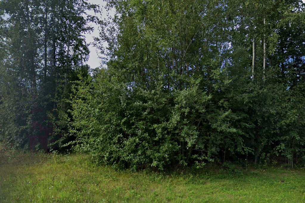 Chugiak Elementary School