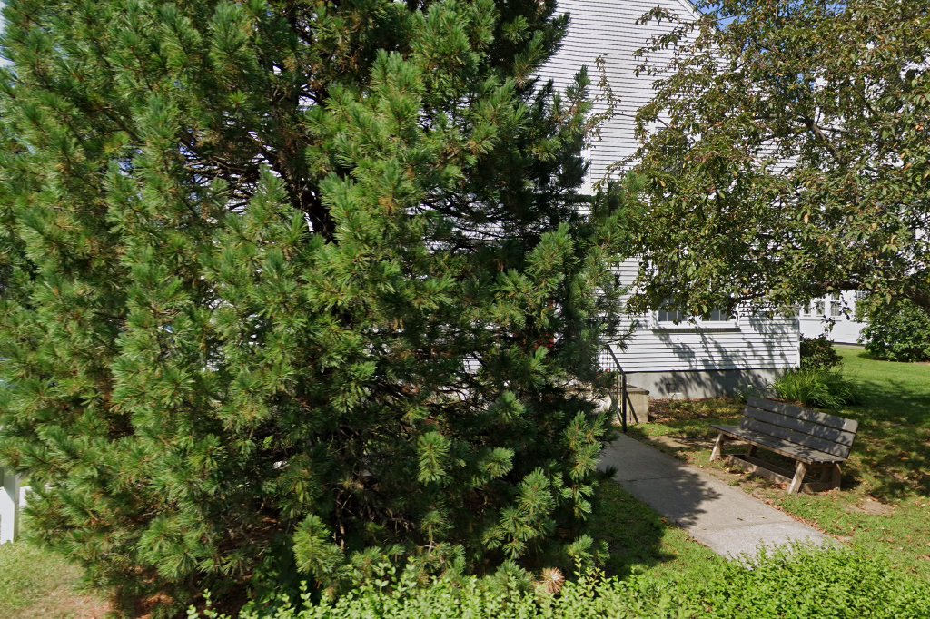 Wayland Montessori School