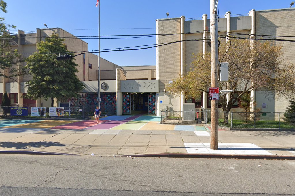 PS 223 Lyndon B Johnson School