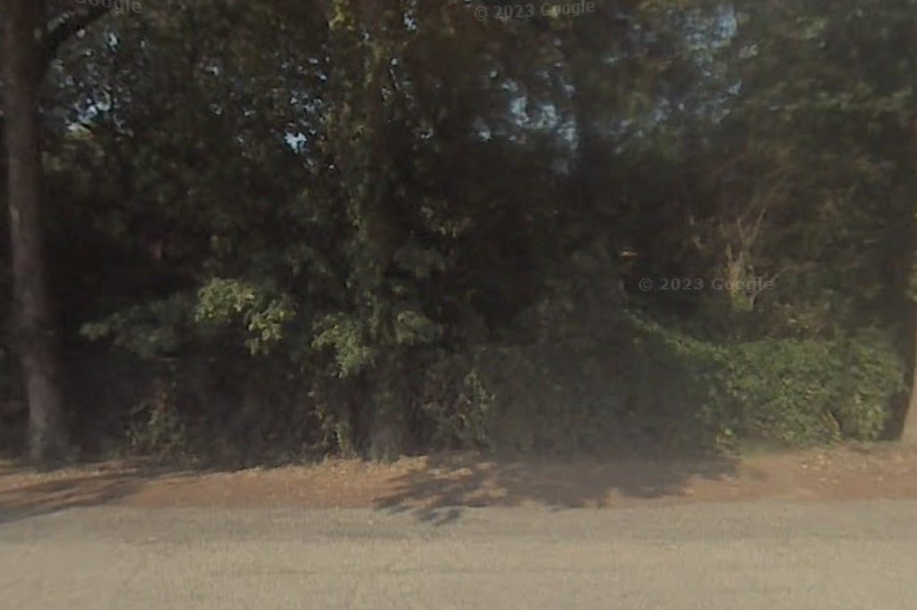 Ivy Street School