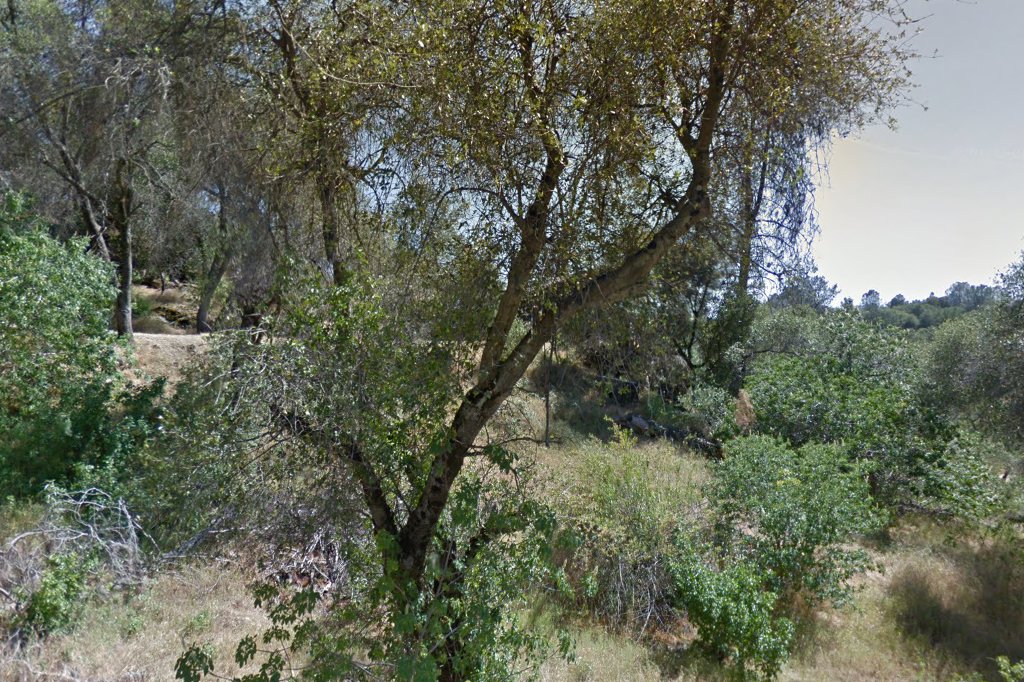 Coarsegold Housing Authority
