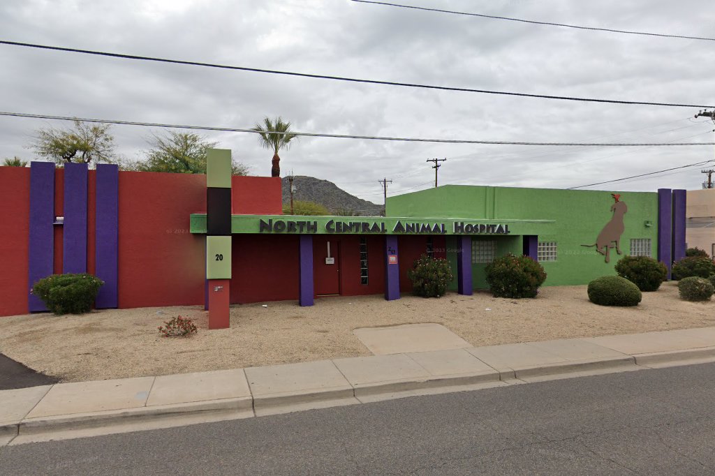 Arizona's Avian Specialist Clinic And Hospitals