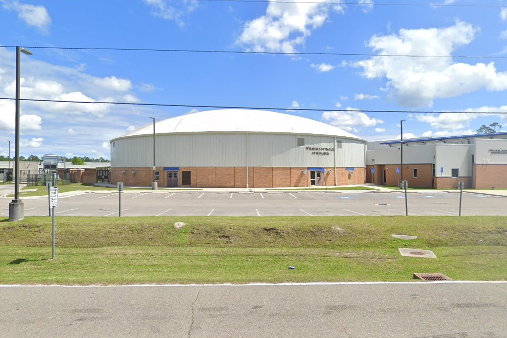 Bay High School