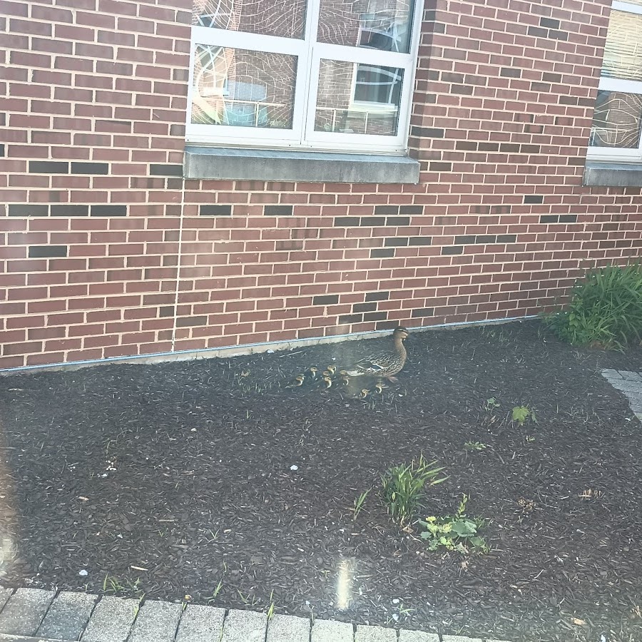 Addison Trail High School
