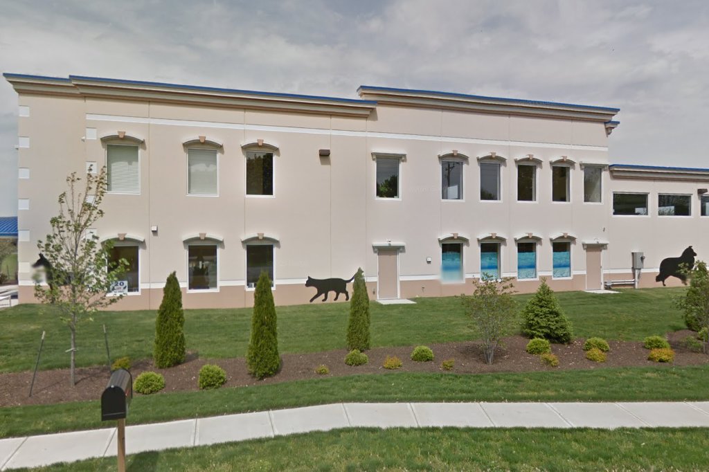 Angel Animal Hospital