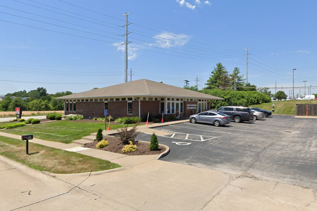 All Cats Animal Hospital