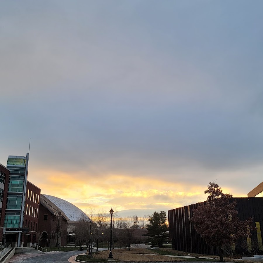 Homer Babbidge Library