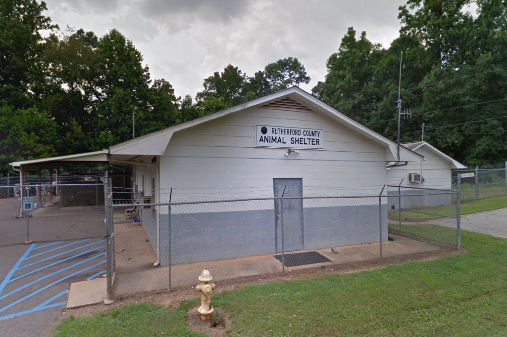 Rutherford County Animal Control