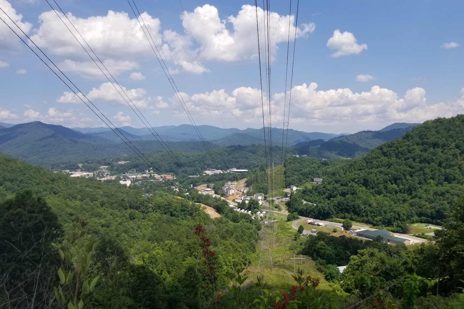Jackson County Animal Shelter