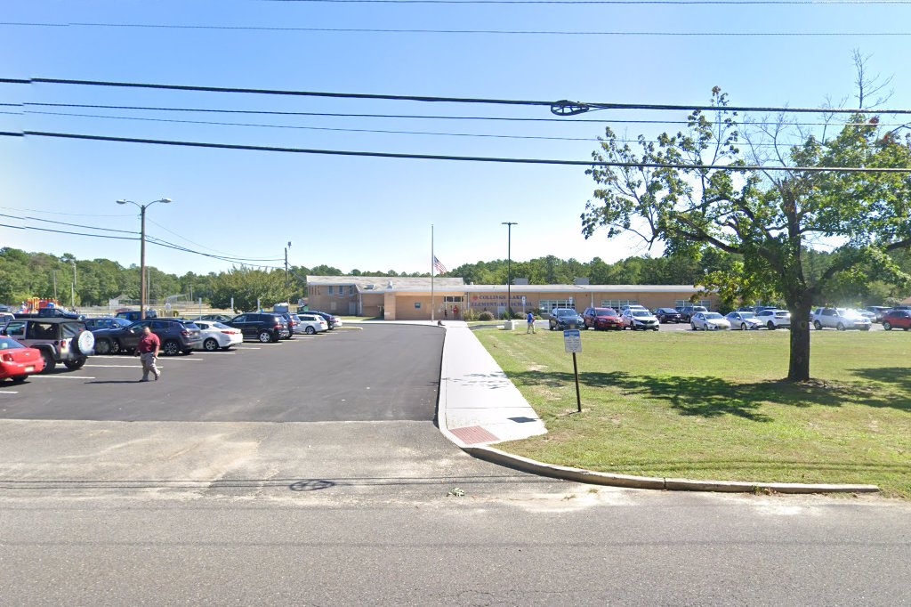 Collings Lake Elementary School
