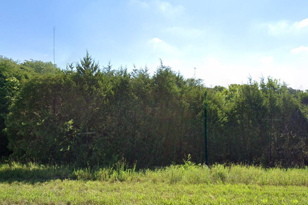 Black Dog Sanctuary