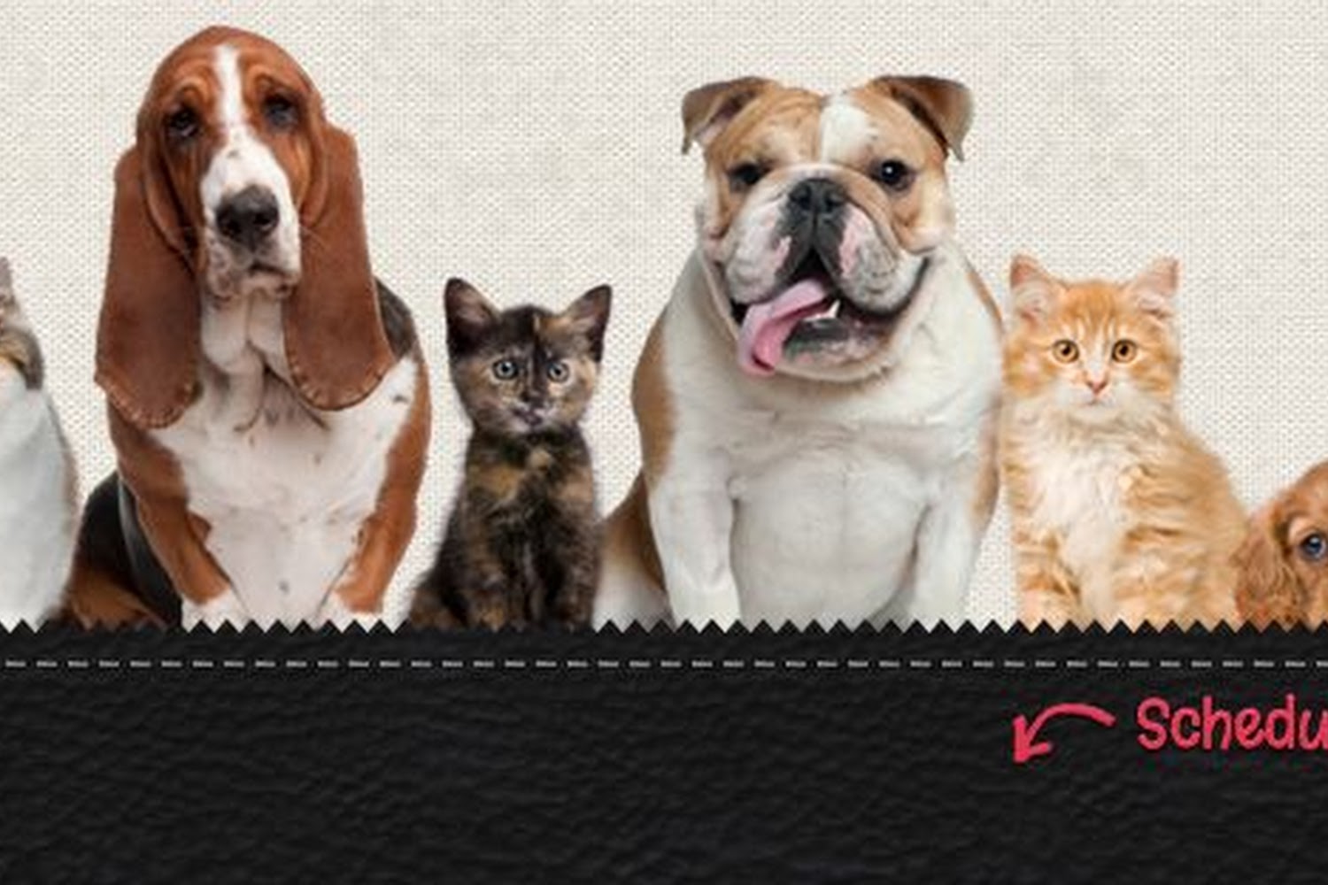 Animal Hospital of Richmond