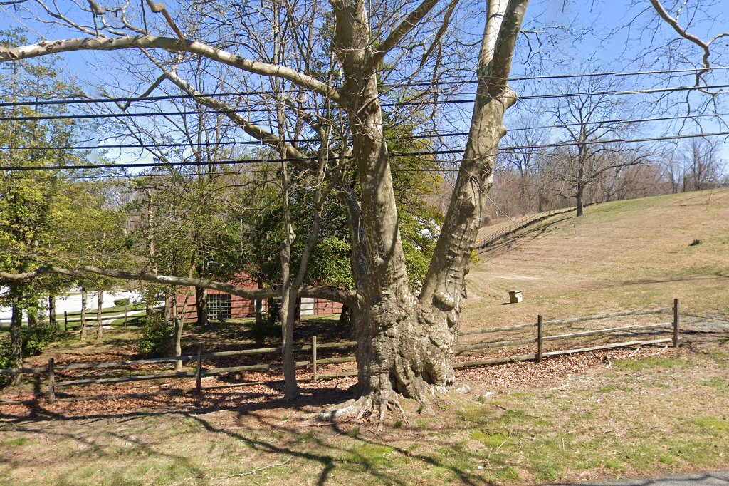 Centreville Layton School