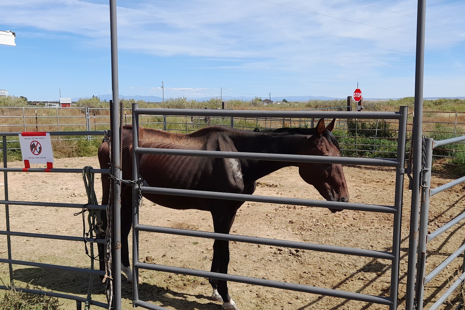 Walkin N Circle Ranch Equine