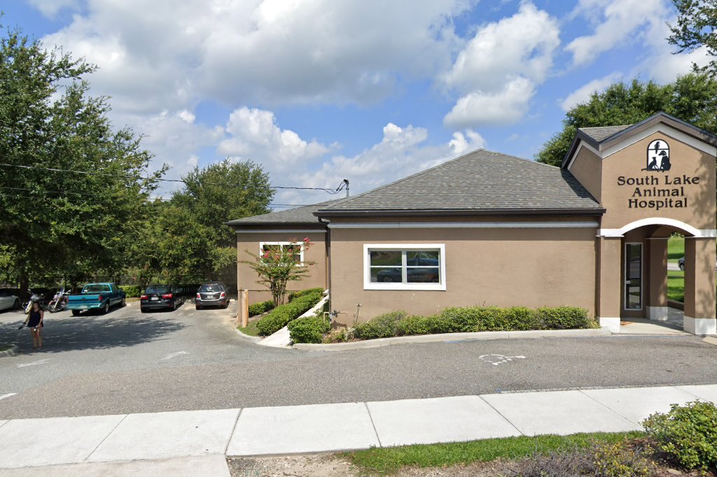 South Lake Animal Clinic