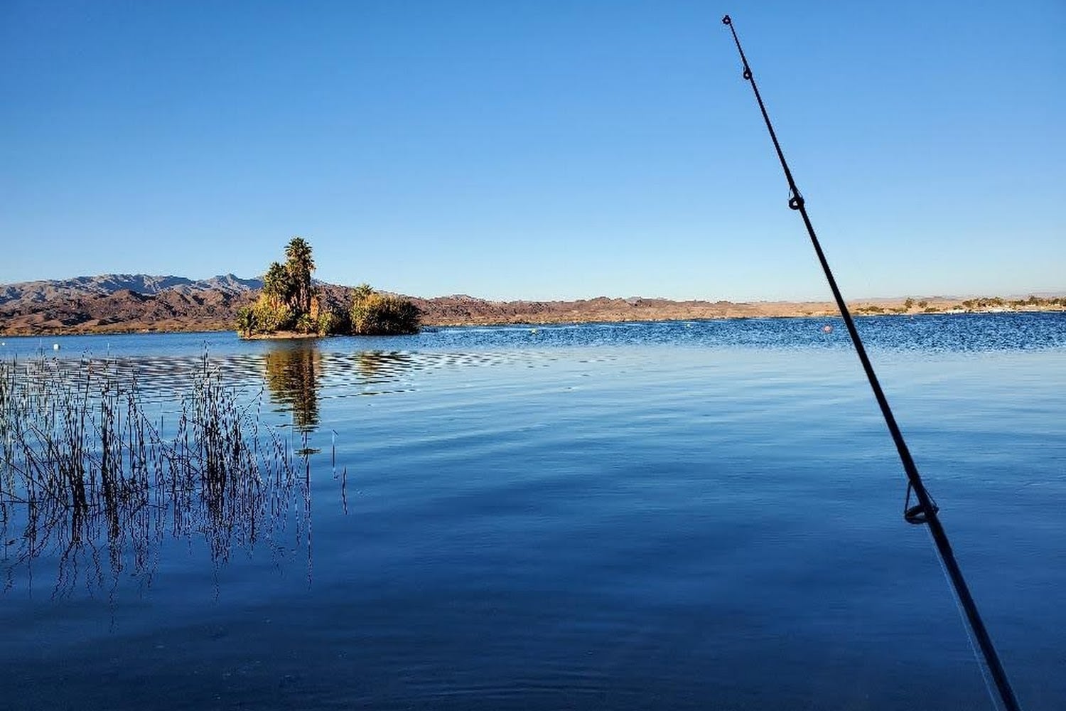 State of Arizona Veterans Service Commission