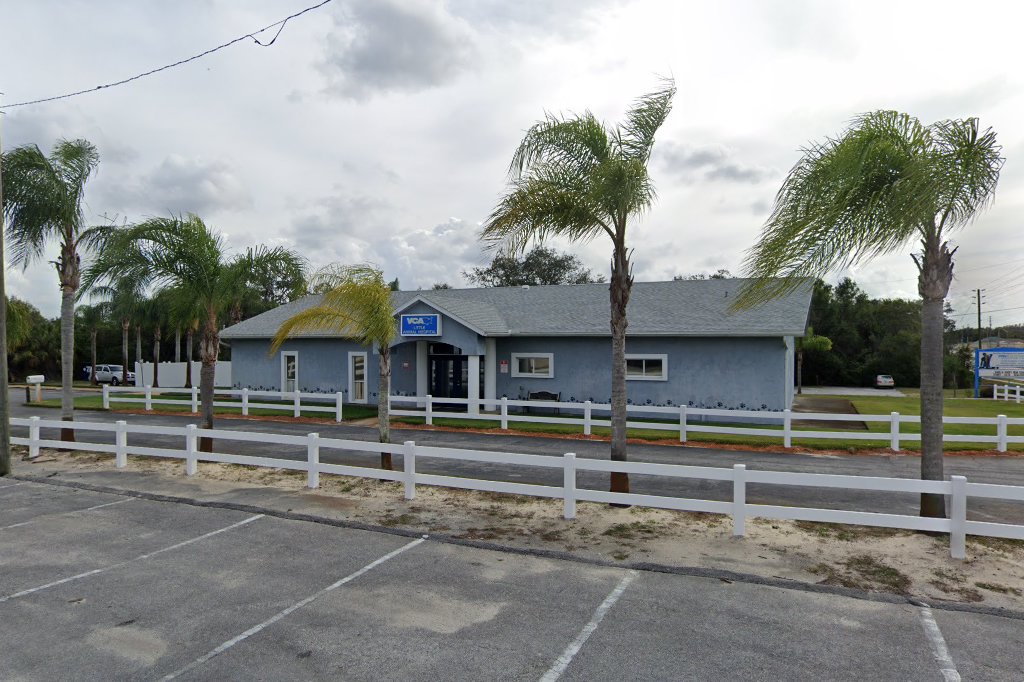 VCA Little Animal Hospital