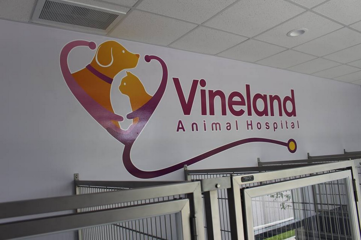 Vineland Animal Hospital