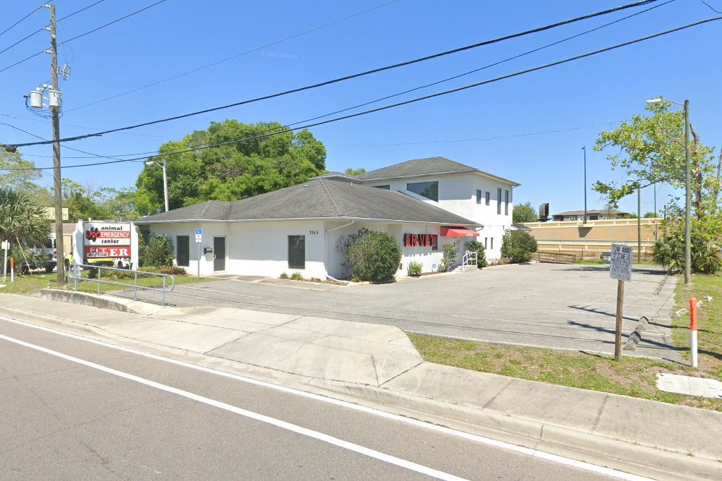 East Orlando Animal Hospital