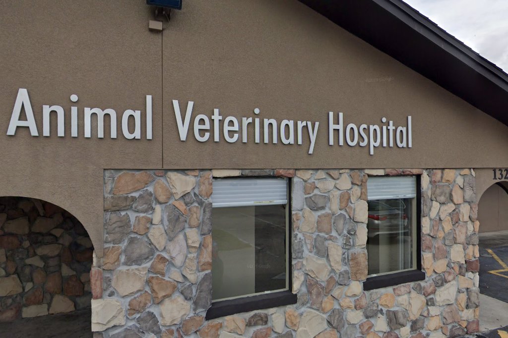 Animal Veterinary Hospital of Orlando