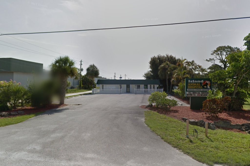 Island Animal Hospital
