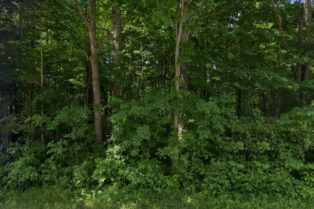 Jackson Township Amish School