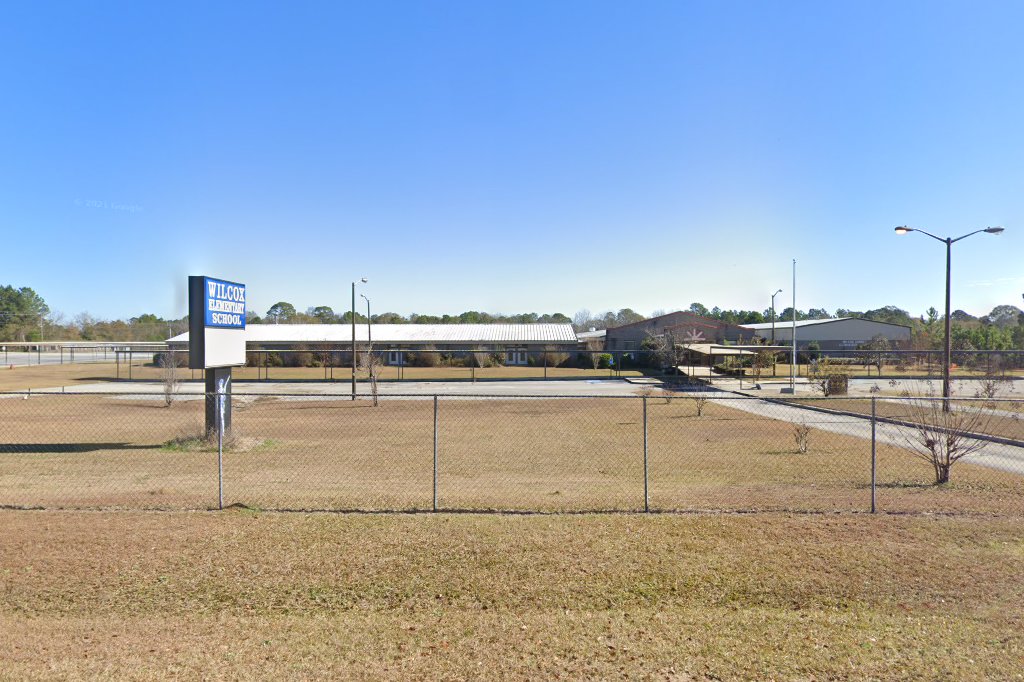 Wilcox County Elementary School
