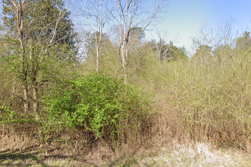 Georgia School For The Deaf