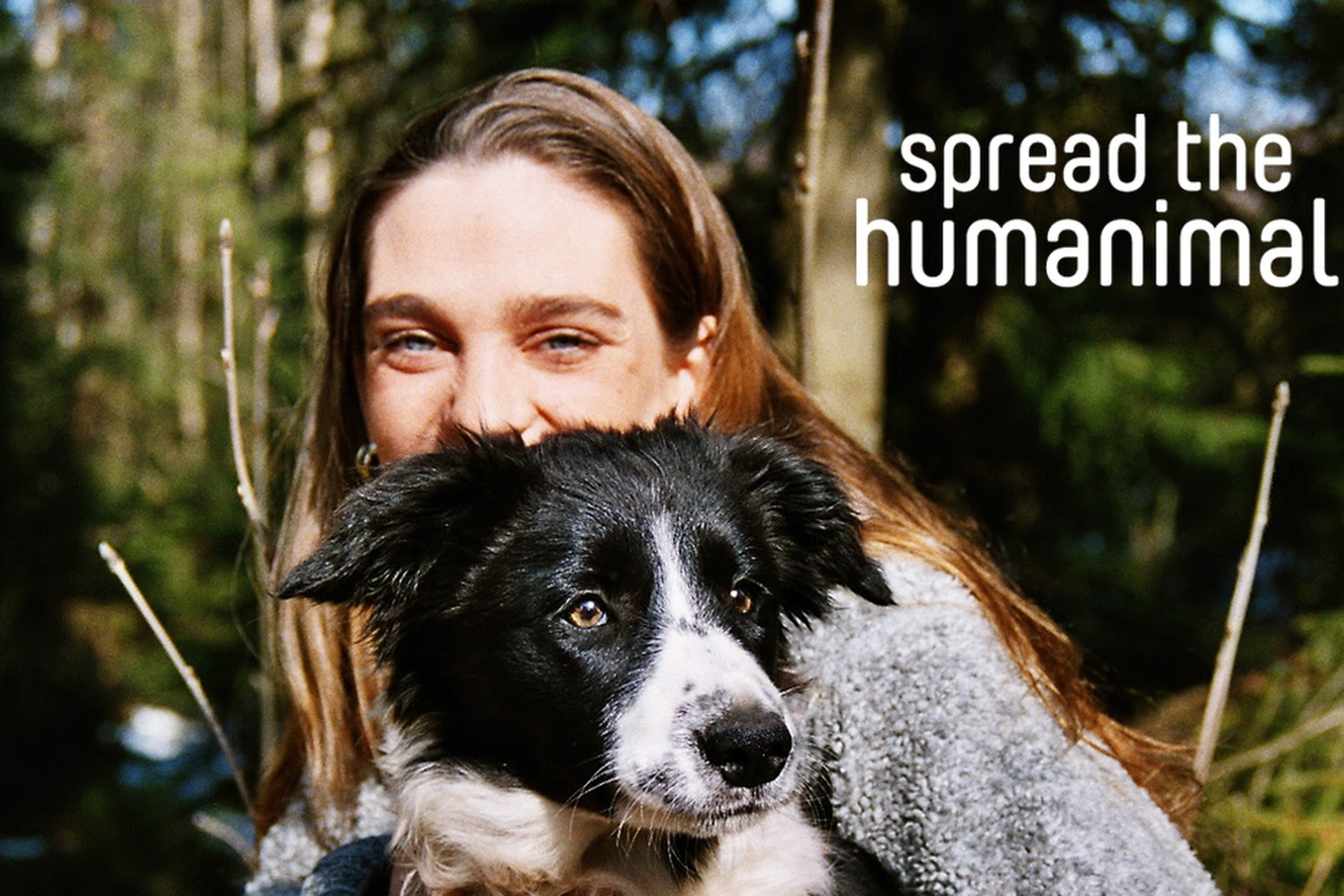 SPCA Tampa Bay