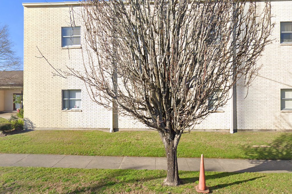 St Ann Parish School