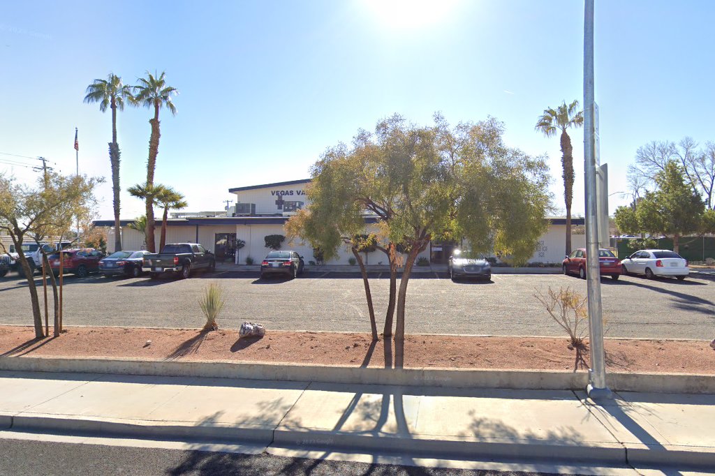Las Vegas Junior Academy