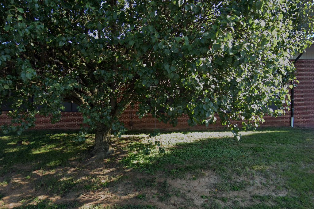 Our Lady School