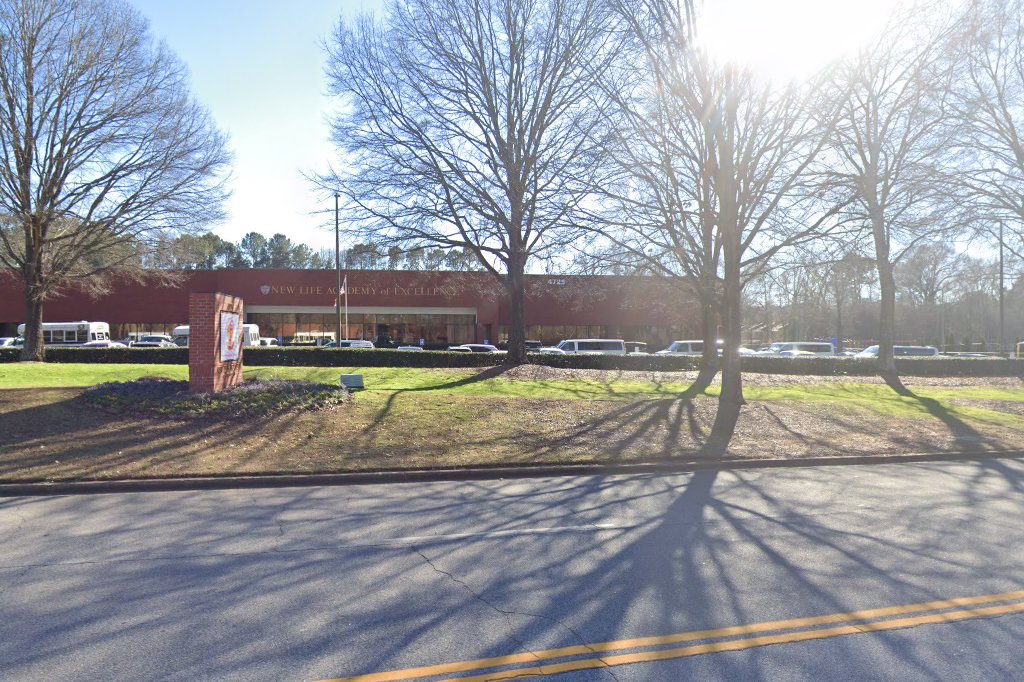 New Life Academy of Excellence