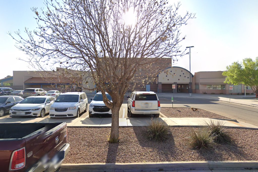 Lindsey Steiner Elementary School