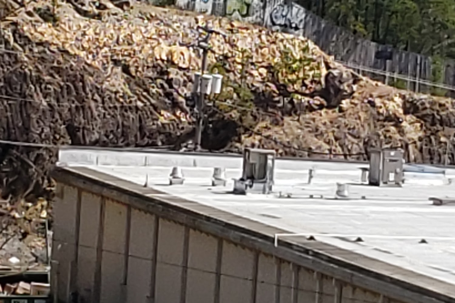 Littler Rock West Revenue Office
