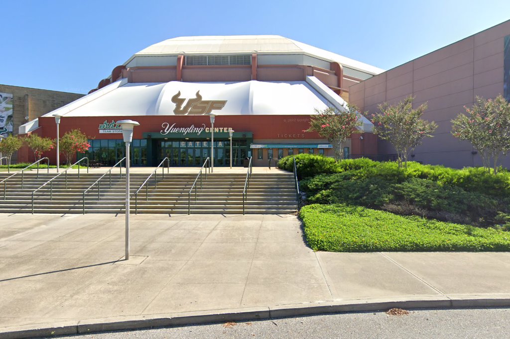 University of South Florida