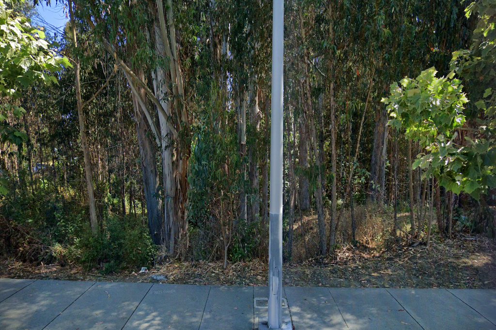 Cabrillo College