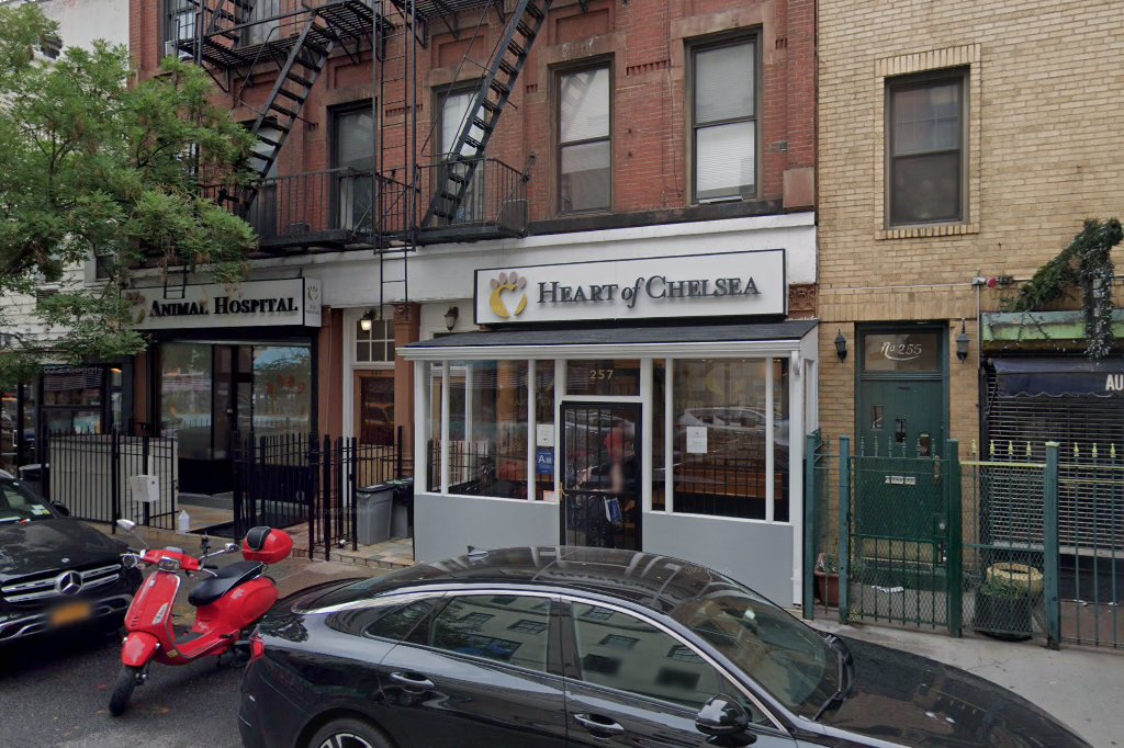 Chelsea Animal Hospital