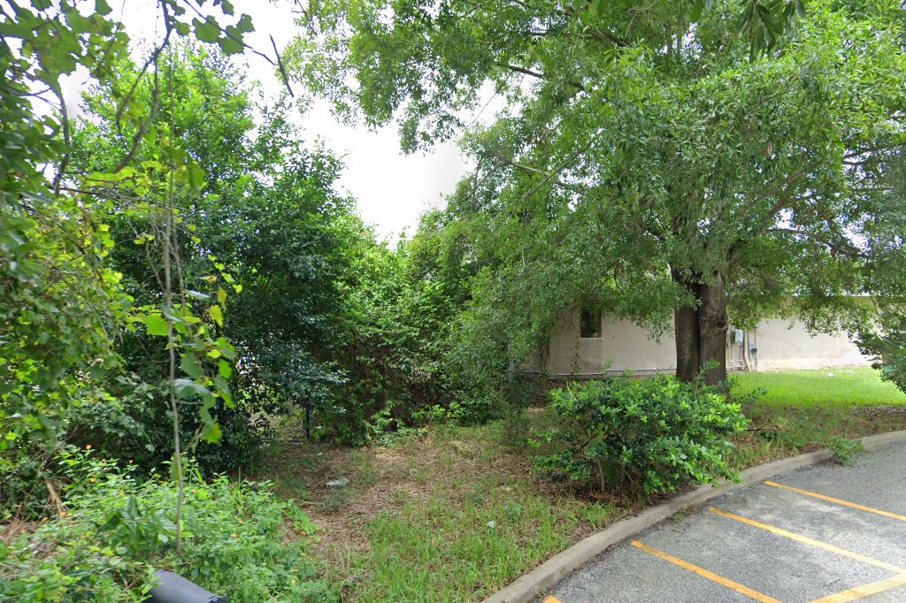 Anclote Animal Hospital