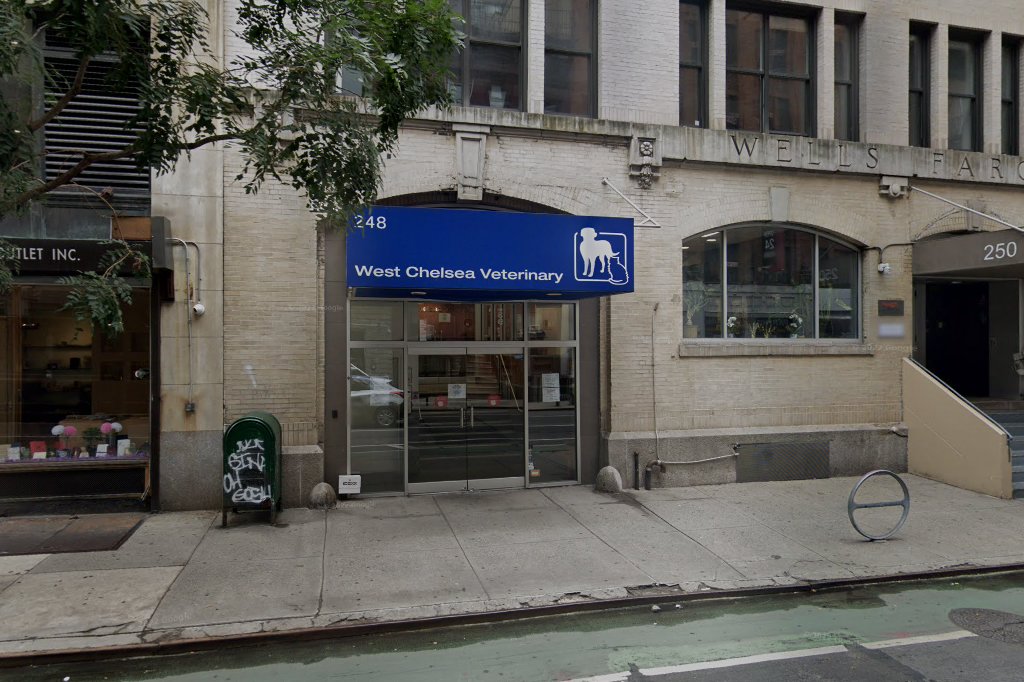 West Chelsea Veterinary
