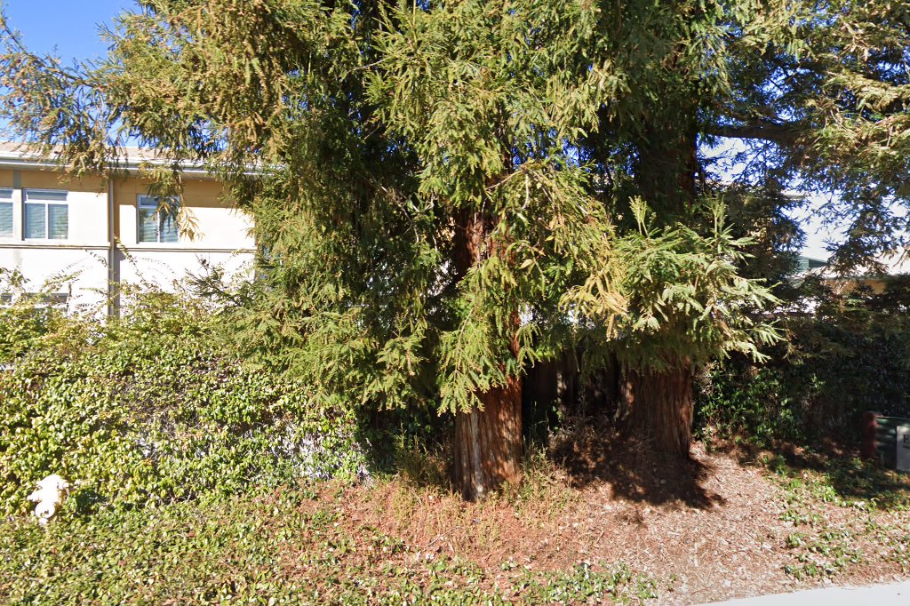 Eastside College Preparatory School