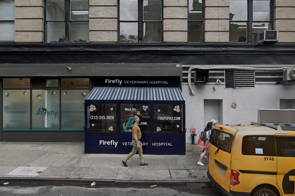 Animal Hospital of Chelsea