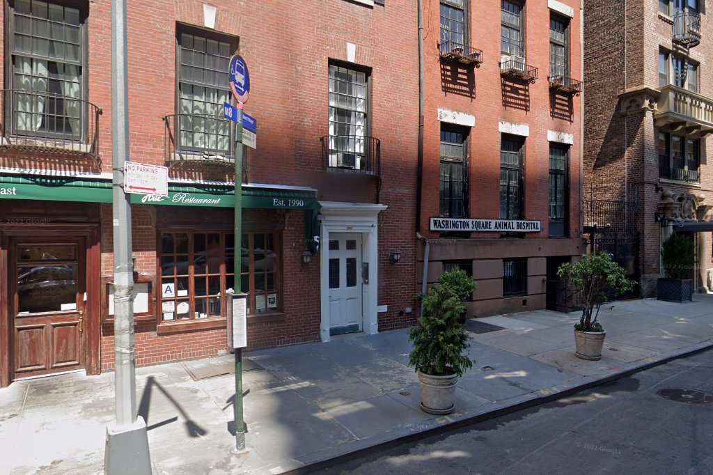Washington Sq Animal Hospital