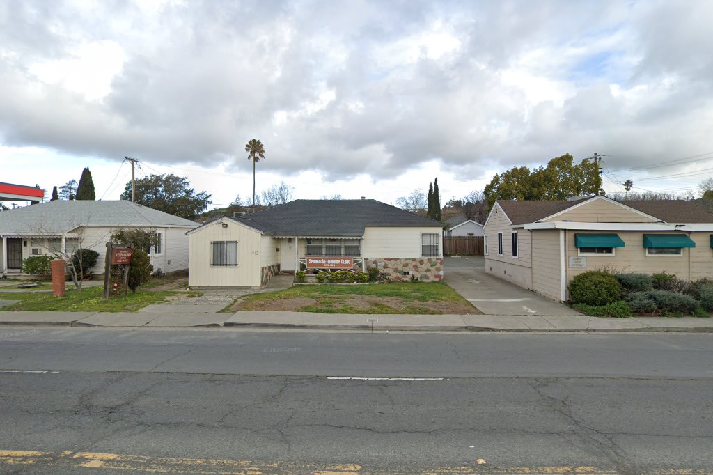 Springs Veterinary Clinic