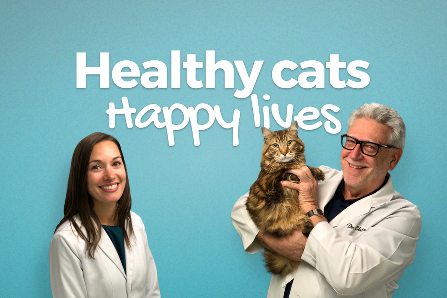T.H.E. Cat Hospital