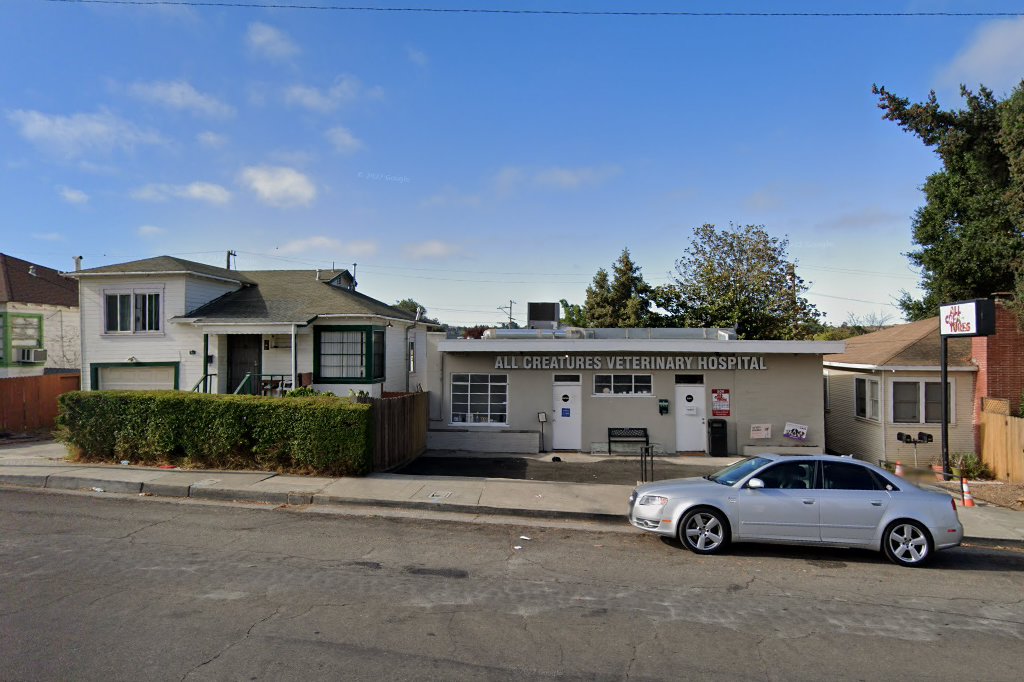 All Creatures Veterinary Hospital