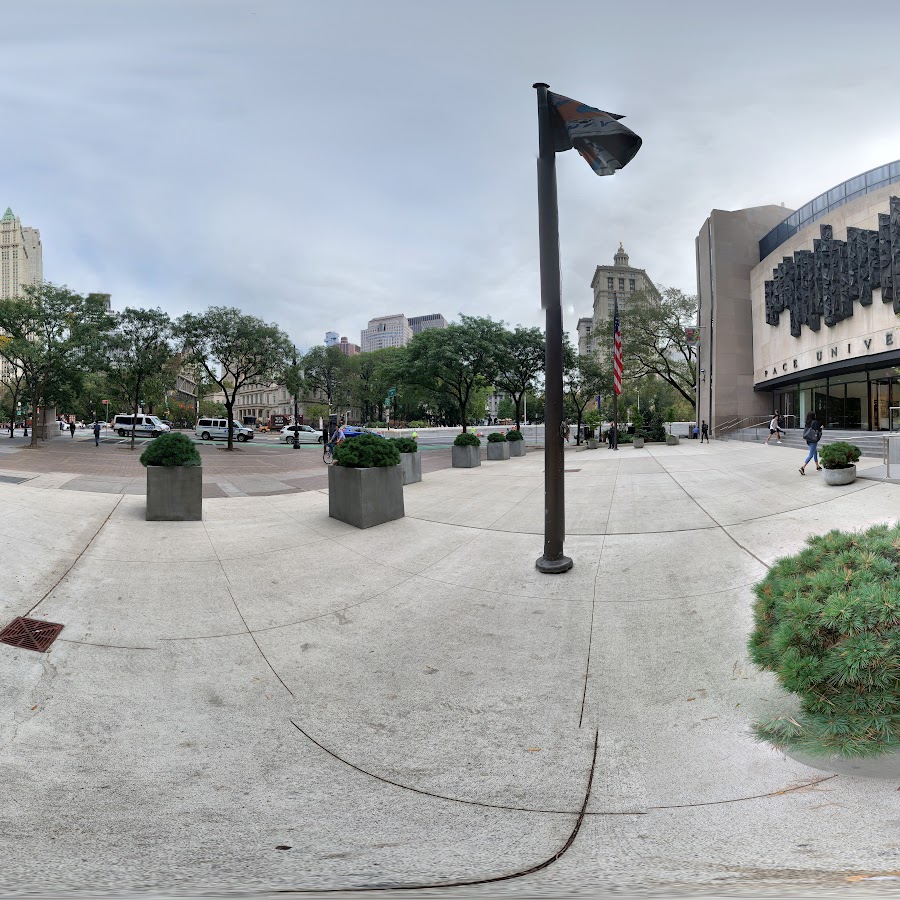 Pace University-New York