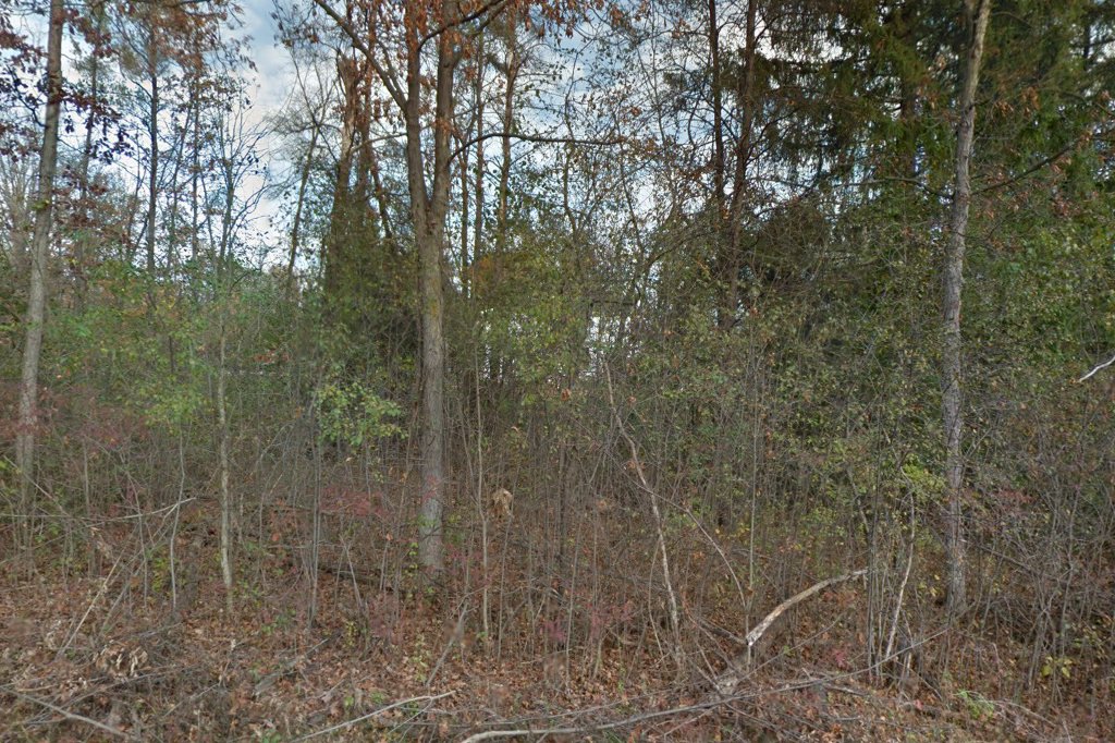 Oak Trails Montessori School